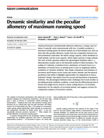 Dynamic similarity and the peculiar allometry of maximum running speed