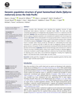 Genomic population structure of great hammerhead sharks (Sphyrna mokarran) across the Indo-Pacific