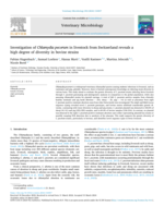 Investigation of Chlamydia pecorum in livestock from Switzerland reveals a high degree of diversity in bovine strains