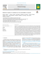 Reductive sorption of vanadium by iron monosulfide in seawater