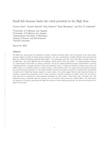 Small fish biomass limits the catch potential in the High Seas