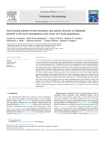 Novel typing scheme reveals emergence and genetic diversity of Chlamydia pecorum at the local management scale across two koala populations