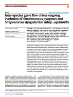 Inter-species gene flow drives ongoing evolution of Streptococcus pyogenes and Streptococcus dysgalactiae subsp. equisimilis