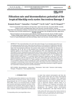 Filtration rate and bioremediatory potential of the tropical blacklip rock oyster Saccostrea lineage J