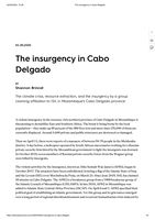 The insurgency in Cabo Delgado