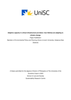 Adaptive capacity in critical infrastructure providers: how lifelines are adapting to climate change