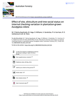 Effect of site, silviculture and tree social status on internal checking variation in plantation-grown Eucalyptus nitens