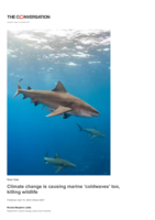 Climate change is causing marine 'coldwaves' too, killing wildlife