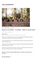 Dogs are incredible - if unlikely - allies in conservation