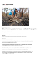 Cultural burning is safer for koalas and better for people too