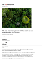 Kita bisa menebang pohon di hutan tropis secara berkelanjutan: Ini 5 caranya