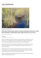 Peat was historically mined overseas because it burns so well. But Australia’s subtropical peat bogs need fire to survive