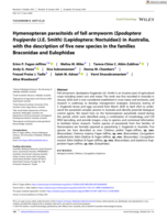 Hymenopteran parasitoids of fall armyworm (Spodoptera frugiperda (J.E. Smith) (Lepidoptera: Noctuidae)) in Australia, with the description of five new species in the families Braconidae and Eulophidae