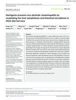 Naringenin prevents non‐alcoholic steatohepatitis by modulating the host metabolome and intestinal microbiome in MCD diet‐fed mice