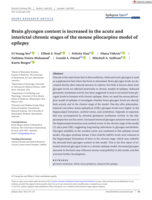Brain glycogen content is increased in the acute and interictal chronic stages of the mouse pilocarpine model of epilepsy