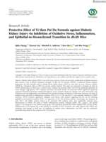 Protective Effect of Yi Shen Pai Du Formula against Diabetic Kidney Injury via Inhibition of Oxidative Stress, Inflammation, and Epithelial-to-Mesenchymal Transition in db/db Mice