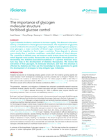 The importance of glycogen molecular structure for blood glucose control