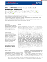 GYS1 or PPP1R3C deficiency rescues murine adult polyglucosan body disease