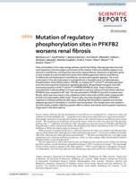 Mutation of regulatory phosphorylation sites in PFKFB2 worsens renal fibrosis