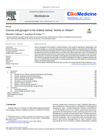 Glucose and glycogen in the diabetic kidney: Heroes or villains?