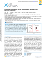 Proteomic Investigation of the Binding Agent between Liver Glycogen β Particles