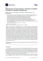 Pathogenesis of Lafora Disease: Transition of Soluble Glycogen to Insoluble Polyglucosan