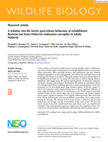 A window into the forest: post-release behaviour of rehabilitated Bornean sun bears Helarctos malayanus euryspilus in Sabah, Malaysia
