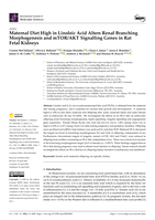 Maternal Diet High in Linoleic Acid Alters Renal Branching Morphogenesis and mTOR/AKT Signalling Genes in Rat Fetal Kidneys