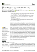 Selective Retention of Cross-Fertilised Fruitlets during Premature Fruit Drop of Hass Avocado