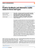 Positive feedbacks and alternative stable states in forest leaf types