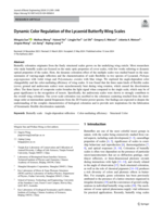 Dynamic Color Regulation of the Lycaenid Butterfly Wing Scales