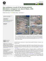 New preliminary records of the Ranong guitarfish (Rhinobatos ranongensis Last, Séret & Naylor, 2019) in Southwest Aceh, Indonesia