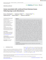 Lianas associated with continued forest biomass losses following large‐scale disturbances
