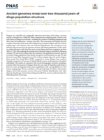 Ancient genomes reveal over two thousand years of dingo population structure