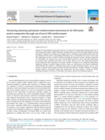 Advancing sintering and matrix-reinforcement interaction in Al/AlN metal matrix composites through use of novel AlN reinforcement