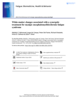 White-matter changes associated with a synergetic treatment for myalgic encephalomyelitis/chronic fatigue syndrome