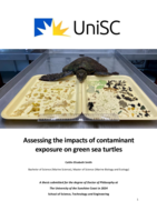 Assessing the impacts of contaminant exposure on green sea turtles