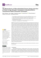 The Biomechanics of Musculoskeletal Tissues during Activities of Daily Living: Dynamic Assessment Using Quantitative Transmission-Mode Ultrasound Techniques