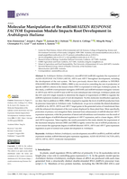 Molecular Manipulation of the miR160/AUXIN RESPONSE FACTOR Expression Module Impacts Root Development in Arabidopsis thaliana