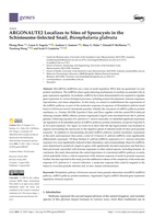 ARGONAUTE2 Localizes to Sites of Sporocysts in the Schistosome-Infected Snail, Biomphalaria glabrata