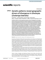 Genetic patterns reveal geographic drivers of divergence in silvereyes (Zosterops lateralis)