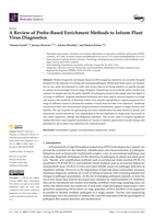A Review of Probe-Based Enrichment Methods to Inform Plant Virus Diagnostics