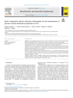 Static compression optical coherence elastography for the measurement of porcine corneal mechanical properties ex-vivo