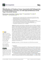 Identification of Virulence Genes Associated with Pathogenicity of Translocating Escherichia coli with Special Reference to the Type 6 Secretion System
