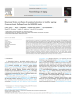 Structural brain correlates of sustained attention in healthy ageing: Cross-sectional findings from the LEISURE study