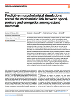Predictive musculoskeletal simulations reveal the mechanistic link between speed, posture and energetics among extant mammals