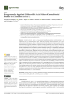 Exogenously Applied Gibberellic Acid Alters Cannabinoid Profile in Cannabis sativa L