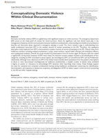 Conceptualizing Domestic Violence Within Clinical Documentation
