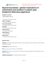 Beyond boundaries -genetic implications of urbanisation and isolation in eastern grey kangaroos (Macropus giganteus)