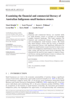 Examining the financial and commercial literacy of Australian Indigenous small business owners
